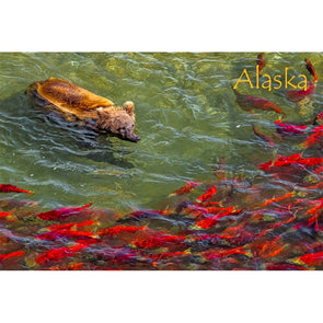 Grizzly Bear Herding AK - 3D Magnet for Refrigerator, Whiteboard, Locker MAGNET 3dstereo 