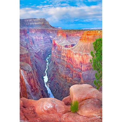 Grand Canyon and River - 3D Magnet for Refrigerator, Whiteboard, Locker MAGNET 3dstereo 