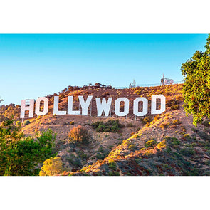 Hollywood - 2 Image 3D Magnet for Refrigerator, Whiteboard, Locker MAGNET 3dstereo 