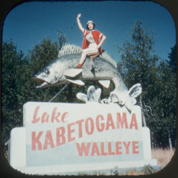 11 ANDREW - Minnesota - View-Master 3 Reel Economy Packet - vintage - MINN-1,2,3-S3 Packet 3Dstereo 