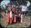 5 ANDREW - Belgian Congo & Ruanda - View-Master 3 Reel Packet - vintage - 3797,3798,3799-BS4 Packet 3dstereo 