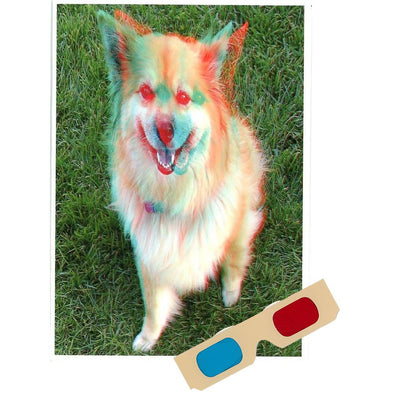 Akita - Phantogram Greeting Card - with 3D Glasses - Image Pops Up from the Card - Unique 3D - NEW collections 3dstereo 