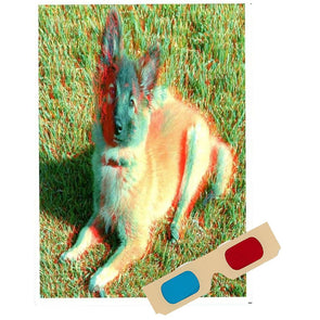 Belgian Tervuren - Phantogram Greeting Card - with 3D Glasses - Image Pops Up from the Card - Unique 3D - NEW collections 3dstereo 