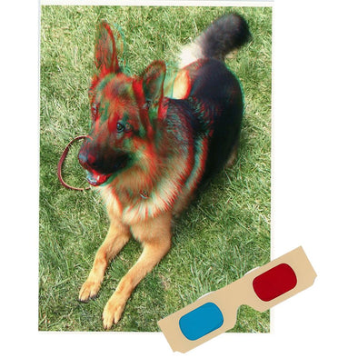 German Shepherd - Phantogram Greeting Card - with 3D Glasses - Image Pops Up from the Card - Unique 3D - NEW collections 3dstereo 