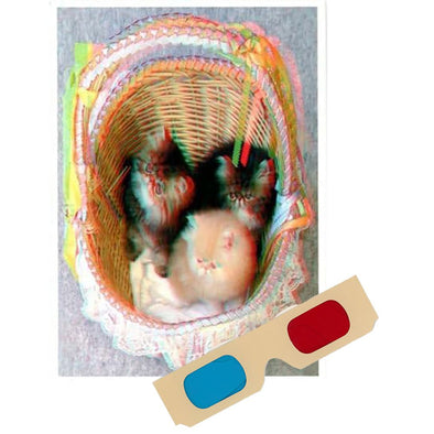 Persian Kittens in basket - Phantogram Greeting Card - with 3D Glasses - Image Pops Up from the Card - Unique 3D - NEW collections 3dstereo 