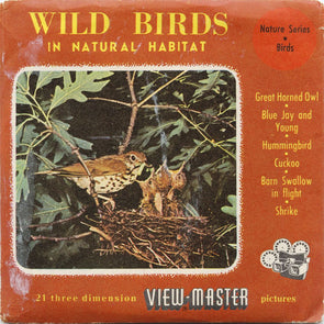 9 ANDREW - Wild Birds - View-Master 3 Reel Packet - vintage - 895-A,B,C-BS3 Packet 3Dstereo 