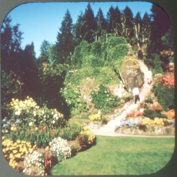 5 ANDREW - Butchart Gardens Victoria, B.C. - View-Master 3 Reel Packet - vintage - A016-G3B Packet 3dstereo 