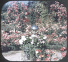 9 ANDREW - The Butchart Gardens - View-Master 3 Reel Economy Packet - vintage - A016-G1A Packet 3Dstereo 