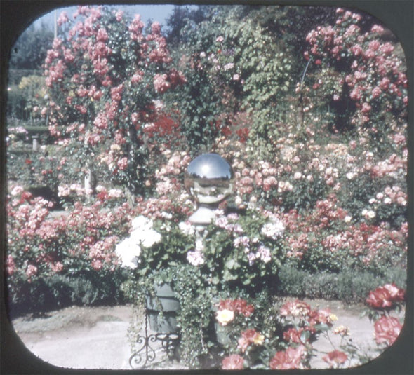 9 ANDREW - The Butchart Gardens - View-Master 3 Reel Economy Packet - vintage - A016-G1A Packet 3Dstereo 
