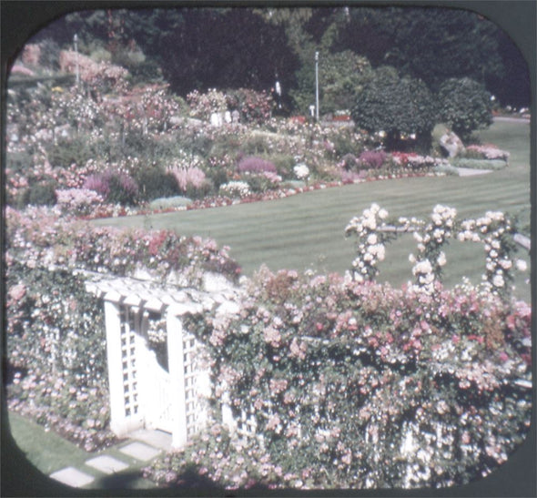 5 ANDREW - Butchart Gardens - View-Master 3 Reel Packet - vintage - A016-S5 Packet 3dstereo 