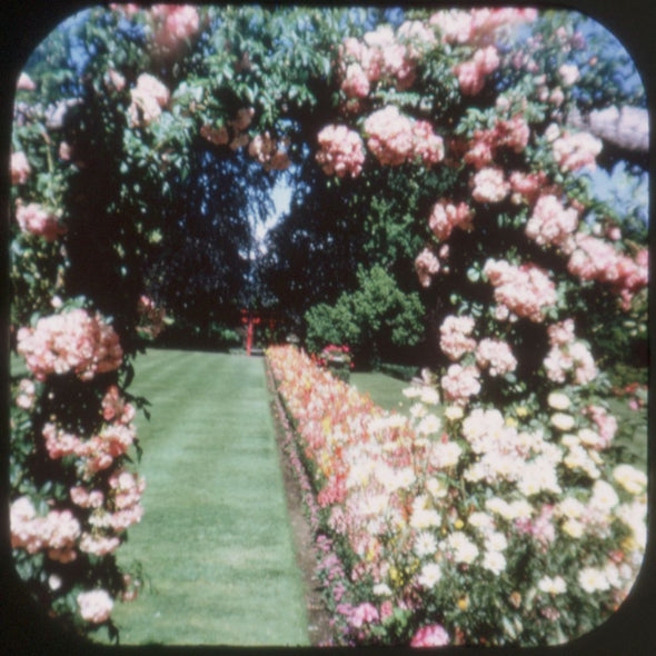 10 ANDREW - Butchart Gardens - View-Master 3 Reel Economy Packet - vintage - A016-S5 Packet 3dstereo 