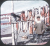 5 ANDREW - Eskimos of Alaska - View-Master 3 Reel Packet - vintage - A102-G3B Packet 3dstereo 