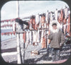 9 ANDREW - Eskimos of Alaska - View-Master 3 Reel Economy Packet - vintage - A102-G3B Packet 3Dstereo 