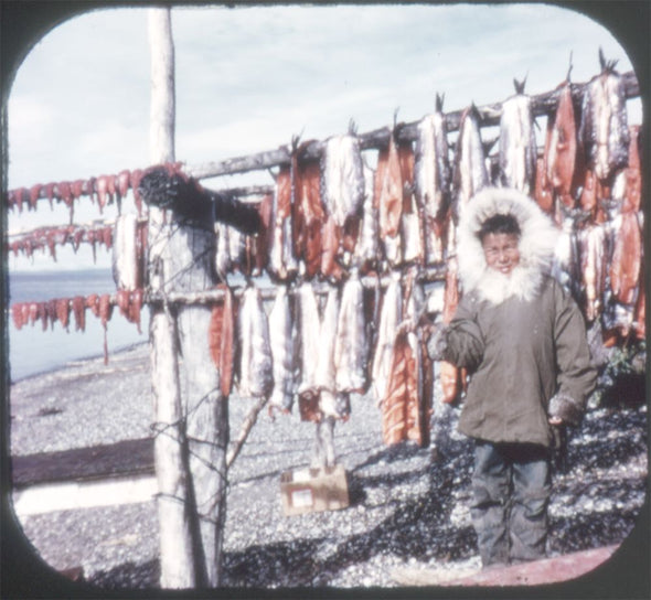 9 ANDREW - Eskimos of Alaska - View-Master 3 Reel Economy Packet - vintage - A102-G3B Packet 3Dstereo 