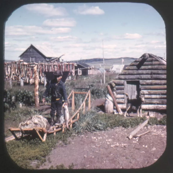 9 ANDREW - Eskimos of Alaska - View-Master 3 Reel Economy Packet - vintage - A102-S4 Packet 3Dstereo 