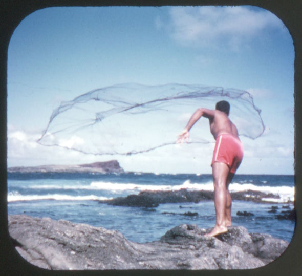 Hawaii the 50th State - ViewMaster 3 Reel Packet - 1959 - vintage - A120-S4 Packet 3dstereo 