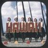 5 ANDREW - Hawaiian Hula Dancers - View-Master 3 Reel Packet - vintage - A122-S5 Packet 3dstereo 