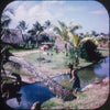 5 ANDREW - Polynesian Cultural Center - View-Master 3 Reel Packet - vintage - A129-G1A Packet 3dstereo 