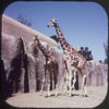 9 ANDREW - San Diego Zoo - View-Master 3 Reel Packet - vintage - A173-G1B Packet 3Dstereo 