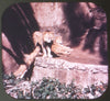 San Diego Zoo - View-Master 3 Reel Packet - vintage - A173-S4 Packet 3dstereo 