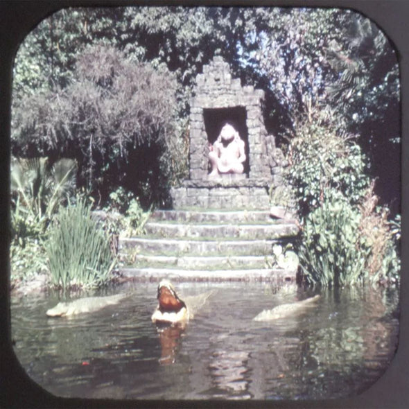 5 ANDREW - Adventureland - Disneyland - View-Master 3 Reel Packet - vintage - A177-S6 Packet 3dstereo 