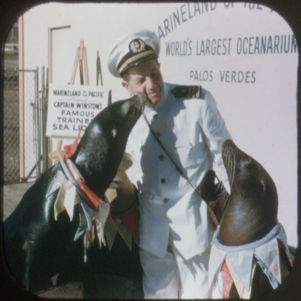 10 ANDREW - Marineland of the Pacific - View-Master 3 Reel Economy Packet - vintage - A188-S4 Packet 3dstereo 