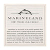 Marineland of the Pacific - View-Master 3 Reel Packet - vintage - PKT-A188-S5 Packet 3dstereo 