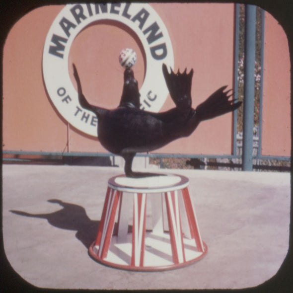 10 ANDREW - Marineland of the Pacific - View-Master 3 Reel Economy Packet - vintage - A188-S5 Packet 3dstereo 
