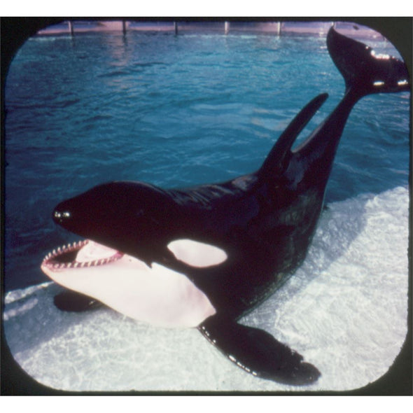 Sea World - View-Master 3 Reel Packet - 1976 - vintage - A208-G5B Packet 3dstereo 
