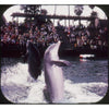Sea World - View-Master 3 Reel Packet - 1976 - vintage - A208-G5B Packet 3dstereo 