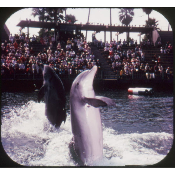 Sea World - View-Master 3 Reel Packet - 1976 - vintage - A208-G5B Packet 3dstereo 