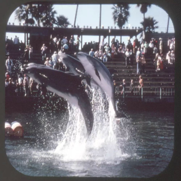 5 ANDREW - Sea World - California - Ohio - Florida - View-Master 3 Reel Packet - vintage - A208 - G5 Packet 3dstereo 