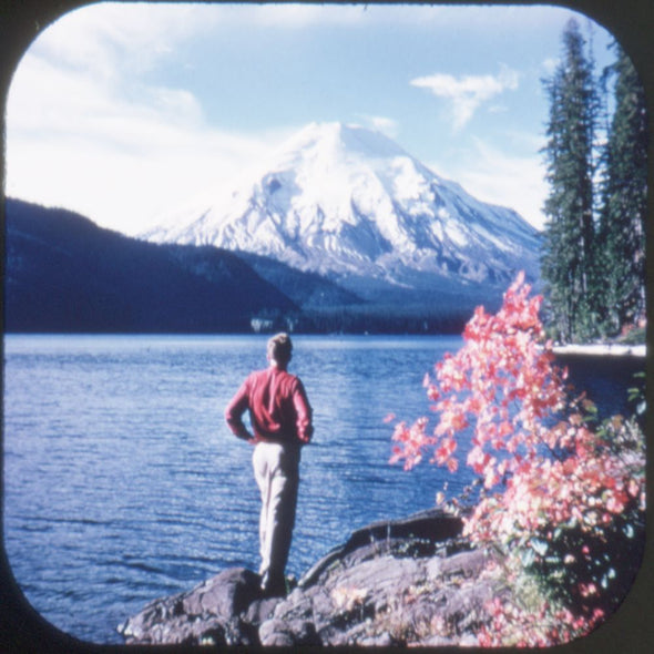 10 ANDREW - Washington - View-Master 3 Reel Packet - vintage - A270-S6A Packet 3dstereo 