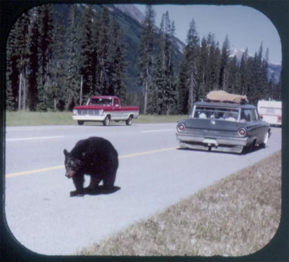 5 ANDREW - Grand Teton National Park, Wyoming - View-Master 3 Reel Packet - vintage - A307-G1A Packet 3dstereo 