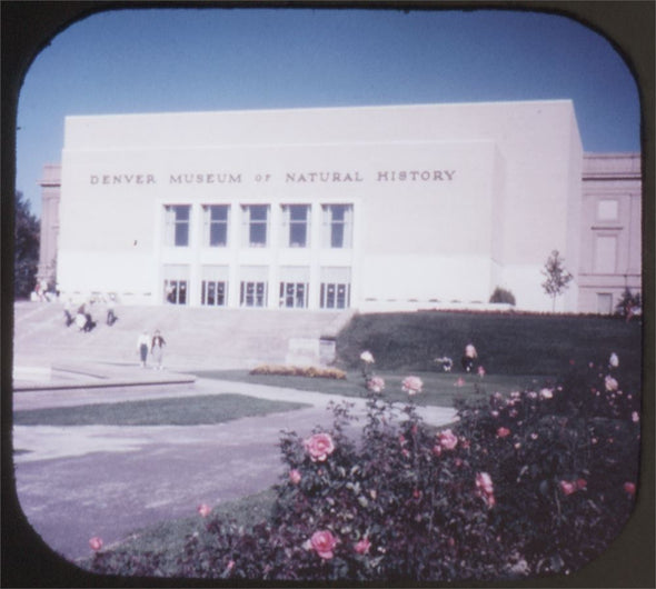 5 ANDREW - Denver Museum and Natural History - View-Master 3 Reel Packet - vintage - A338-S5 Packet 3dstereo 