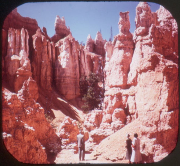 5 ANDREW - Bryce National Park - View-Master 3 Reel Packet - vintage - A346-S5 Packet 3dstereo 