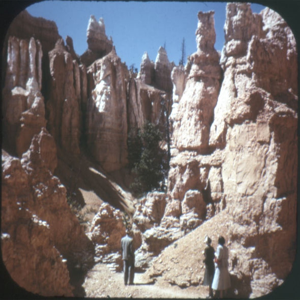 9 ANDREW - Bryce Canyon - View-Master 3 Reel Economy Packet - vintage - A346-S5 Packet 3Dstereo 