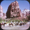9 ANDREW - Zion National Park - View-Master 3 Reel Packet - vintage - A347-S6A Packet 3Dstereo 