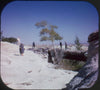 5 ANDREW - Petrified Forest National Park - View-Master 3 Reel Packet - vintage - A365-G3B Packet 3dstereo 