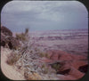 5 ANDREW - Petrified Forest National Park - View-Master 3 Reel Packet - vintage - A365-G3B Packet 3dstereo 