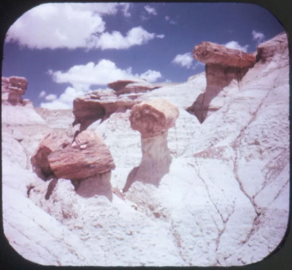 9 ANDREW - Petrified Forest and Painted Desert - View-Master 3 Reel Economy Packet - vintage - A365-S6A Packet 3Dstereo 