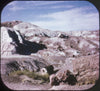 9 ANDREW - Petrified Forest and Painted Desert - View-Master 3 Reel Economy Packet - vintage - A365-S6A Packet 3Dstereo 