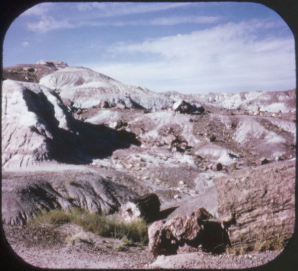 9 ANDREW - Petrified Forest and Painted Desert - View-Master 3 Reel Economy Packet - vintage - A365-S6A Packet 3Dstereo 
