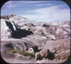 5 ANDREW - Petrified Forest National Park - View-Master 3 Reel Packet - vintage - A365-S6A Packet 3dstereo 