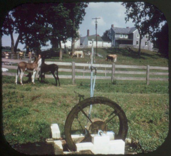 6 ANDREW - Pennsylvania Dutch and Amish Country - View-Master 3 Reel Packet - vintage - A633-G1A Packet 3dstereo 