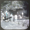 9 ANDREW - Rock City Gardens - View-Master 3 Reel Economy Packet - vintage - A884-S4 Packet 3Dstereo 