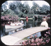 5 ANDREW - Cypress Gardens - View-Master 3 Reel Packet - vintage - A961-S5 Packet 3dstereo 