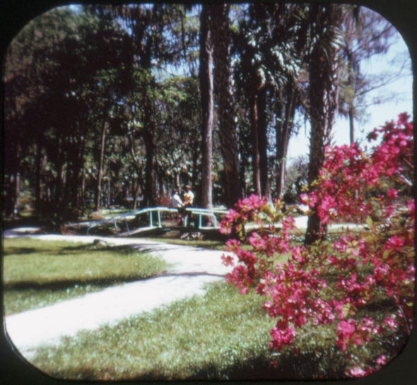 5 ANDREW - Silver Springs - View-Master 3 Reel Packet - vintage - A962-G1A Packet 3dstereo 