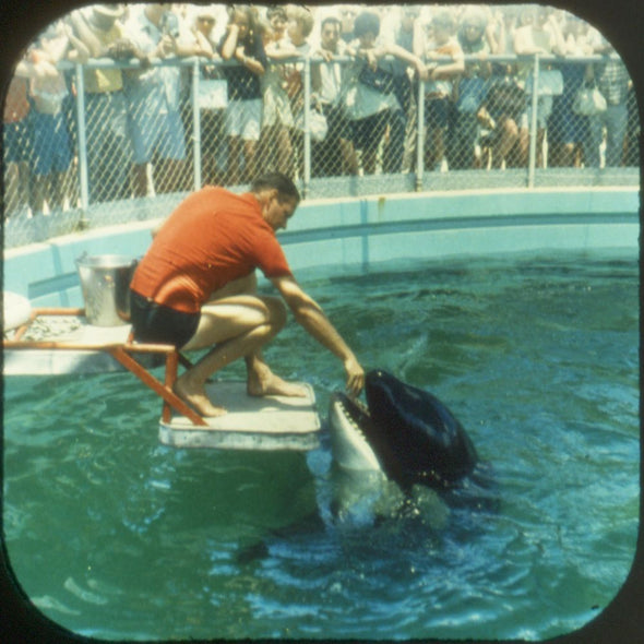 10 ANDREW - Greater Miami and Miami Beach - View-Master 3 Reel Packet - vintage - A963-V2 Packet 3dstereo 