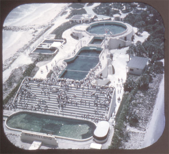 5 ANDREW - Marine Studios - Marineland of Florida - View-Master 3 Reel Packet - vintage - A964-S4 Packet 3dstereo 